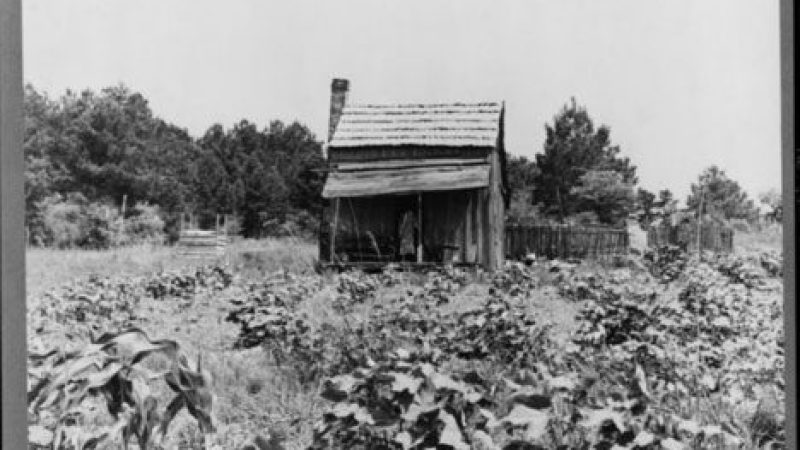 Sharecropping and the Reversal of 40 Acres and a Mule