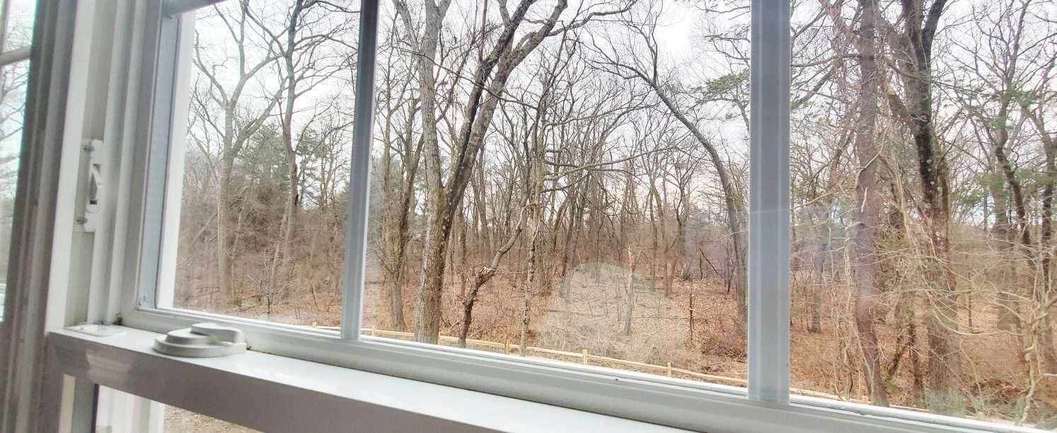 Senior Maple Woods, Wenham, MA Harborlight Homes